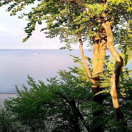 Bed & Breakfast Dluga No 4 - Gdynia